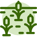 hand holding plant sapling icon